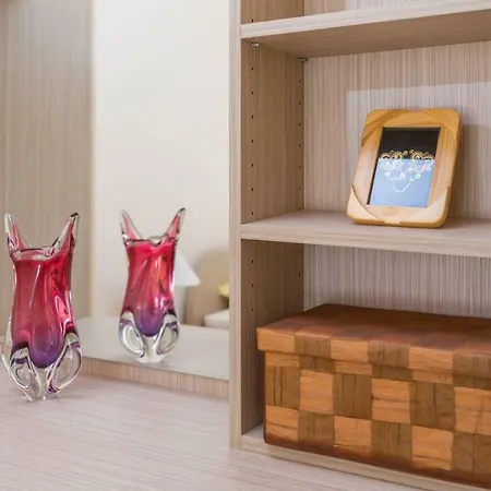 Novi Apartment *